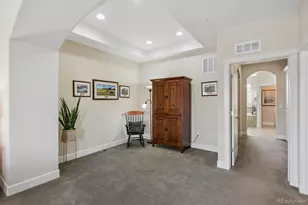 2195 Primo Road, Highlands Ranch, CO 80129 - Photo 23