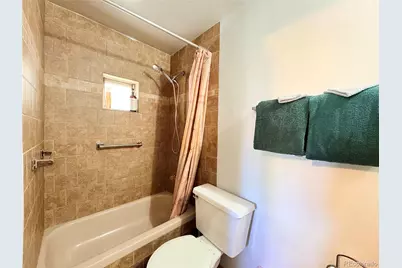 506 E 9th Street, Leadville, CO 80461 - Photo 17