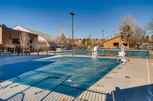 3818 Mallard Dr, Highlands Ranch, CO 80126 - Photo 33