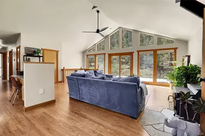 33624 Iroquois Trail, Pine, CO 80470 - Photo 5