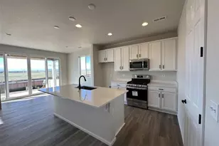 1763 Papuan Ct, Brighton, CO 80601 - Photo 3