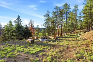 25554 Shiloh Cir, Conifer, CO 80433 - Photo 37