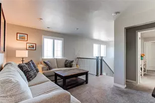 14475 Grape Way, Brighton, CO 80602 - Photo 19