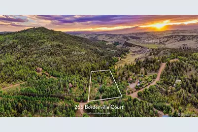 265 Bordenville Court, Jefferson, CO 80456 - Photo 39