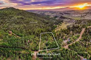 265 Bordenville Ct, Jefferson, CO 80456 - Photo 39