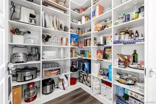 11073 Sunshimmer Cir, Parker, CO 80134 - Photo 19