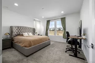 11073 Sunshimmer Cir, Parker, CO 80134 - Photo 21