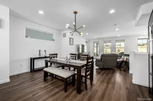 11073 Sunshimmer Cir, Parker, CO 80134 - Photo 13