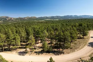 832 Wykagyl Rd, Westcliffe, CO 81252 - Photo 37