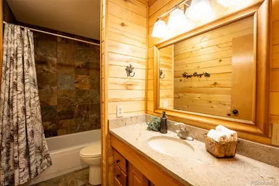 186 Spring Beauty Drive, Silverthorne, CO 80498 - Photo 13