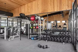 425 Welded Tuff Trl, Castle Rock, CO 80104 - Photo 41