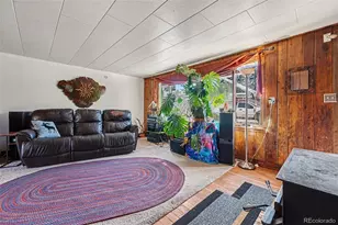 3384 Ave F, Kittredge, CO 80457 - Photo 5