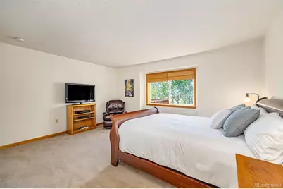 318 Foxtail Lane, Fairplay, CO 80440 - Photo 21