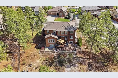 1600 Knotty Pine Way, Castle Rock, CO 80108 - Photo 45