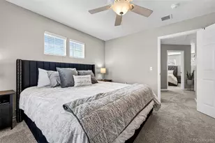 1509 Gold Hill St, Castle Rock, CO 80109 - Photo 21