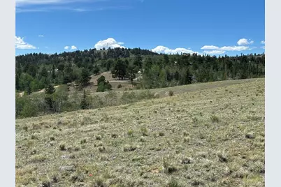 135 Hawk Way, Como, CO 80432 - Photo 3