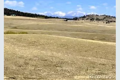 7493 Ranch Road, Hartsel, CO 80449 - Photo 17