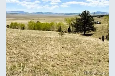 7493 Ranch Road, Hartsel, CO 80449 - Photo 39