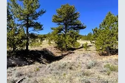 7493 Ranch Road, Hartsel, CO 80449 - Photo 27