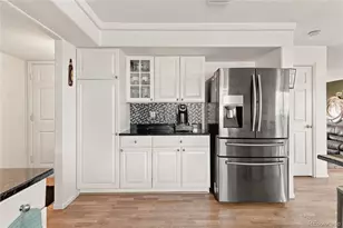 4146 Orleans St, Denver, CO 80249 - Photo 9