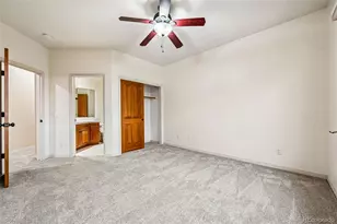 3366 Red Tree Pl, Castle Rock, CO 80104 - Photo 31