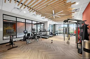 20 Wilcox St, Castle Rock, CO 80104 - Photo 9