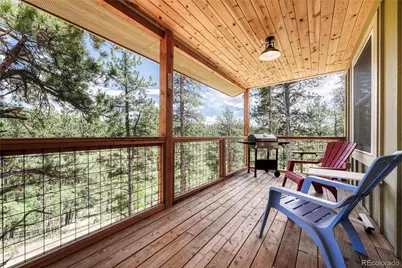 133 Brown Street, Bailey, CO 80421 - Photo 27