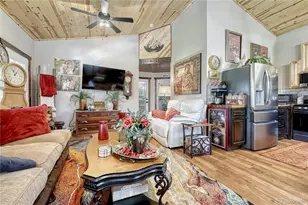 133 Brown St, Bailey, CO 80421 - Photo 13