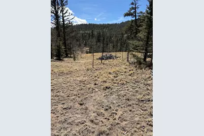233 Cradle Board Court, Jefferson, CO 80456 - Photo 15