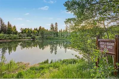 181 Juniper Road, Black Hawk, CO 80422 - Photo 45