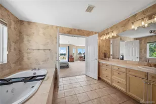 213 Scotch Pine Cir, Parker, CO 80138 - Photo 29