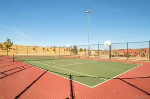 98 Simmental Loop, Castle Rock, CO 80104 - Photo 45