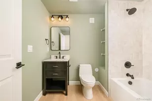 98 Simmental Loop, Castle Rock, CO 80104 - Photo 33