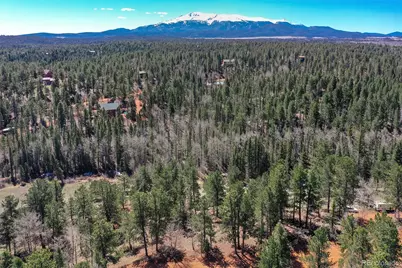 112 Blue Jay Lane, Florissant, CO 80816 - Photo 21