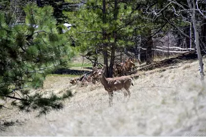 112 Blue Jay Lane, Florissant, CO 80816 - Photo 19