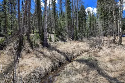 112 Blue Jay Lane, Florissant, CO 80816 - Photo 13