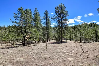 112 Blue Jay Lane, Florissant, CO 80816 - Photo 3