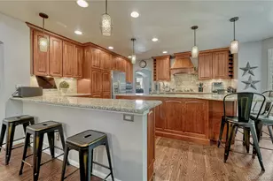 380 Rose Finch Circle, Highlands Ranch, CO 80129 - Photo 13