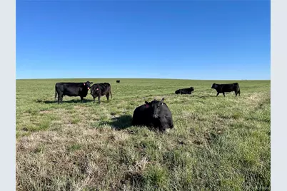 County Road 125, Deer Trail, CO 80105 - Photo 1