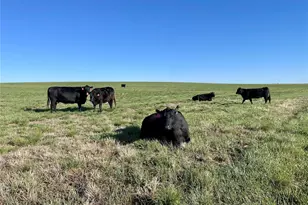 County Road 125, Deer Trail, CO 80105 - Photo 1