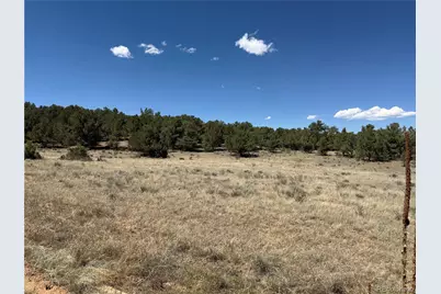 520 W View Road, Cotopaxi, CO 81223 - Photo 7