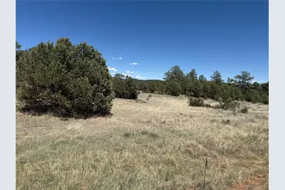 520 W View Road, Cotopaxi, CO 81223 - Photo 5