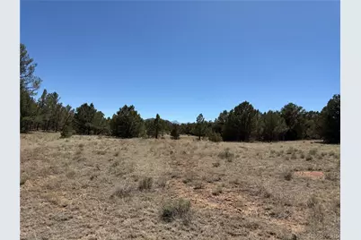 520 W View Road, Cotopaxi, CO 81223 - Photo 23