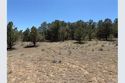 520 W View Road, Cotopaxi, CO 81223 - Photo 25