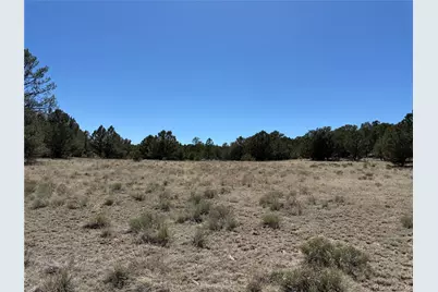 520 W View Road, Cotopaxi, CO 81223 - Photo 17
