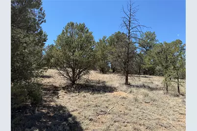 520 W View Road, Cotopaxi, CO 81223 - Photo 11