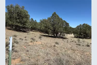 520 W View Road, Cotopaxi, CO 81223 - Photo 1