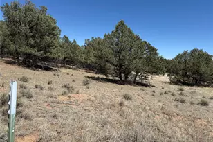 520 W View Rd, Cotopaxi, CO 81223 - Photo 1