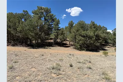 520 W View Road, Cotopaxi, CO 81223 - Photo 21