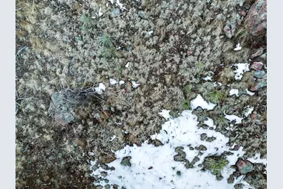 Timber Ridge Road, Evergreen, CO 80439 - Photo 17